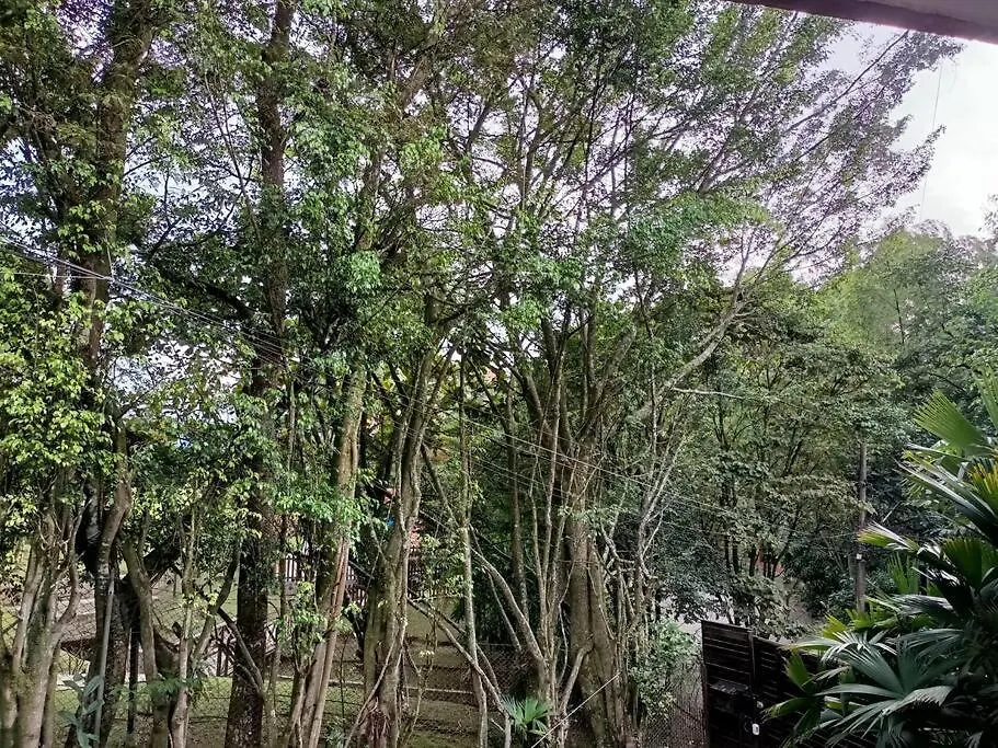 Apartamento Campestre Loft Con Jacuzzi En San Lucas, El Poblado Medellin 0*,